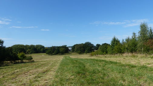 Windmill Hill trail at Coughton Court, Warwickshire